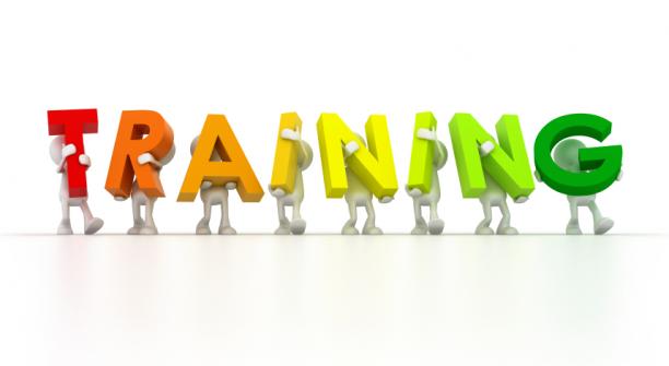 Franchisee Training:  Success Accelerated by Supporting