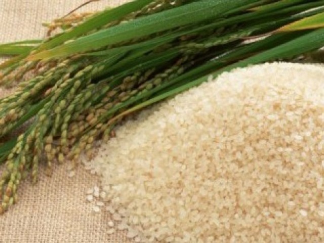 Rice Market in India expected to be fluffed in 2015