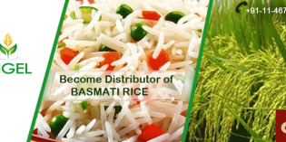 Join the Group of Biggest Rice Manufacturer