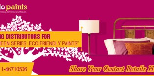 Go green and paint your walls with Apollo Paints Pvt. Ltd.’s Eco-friendly range of paints