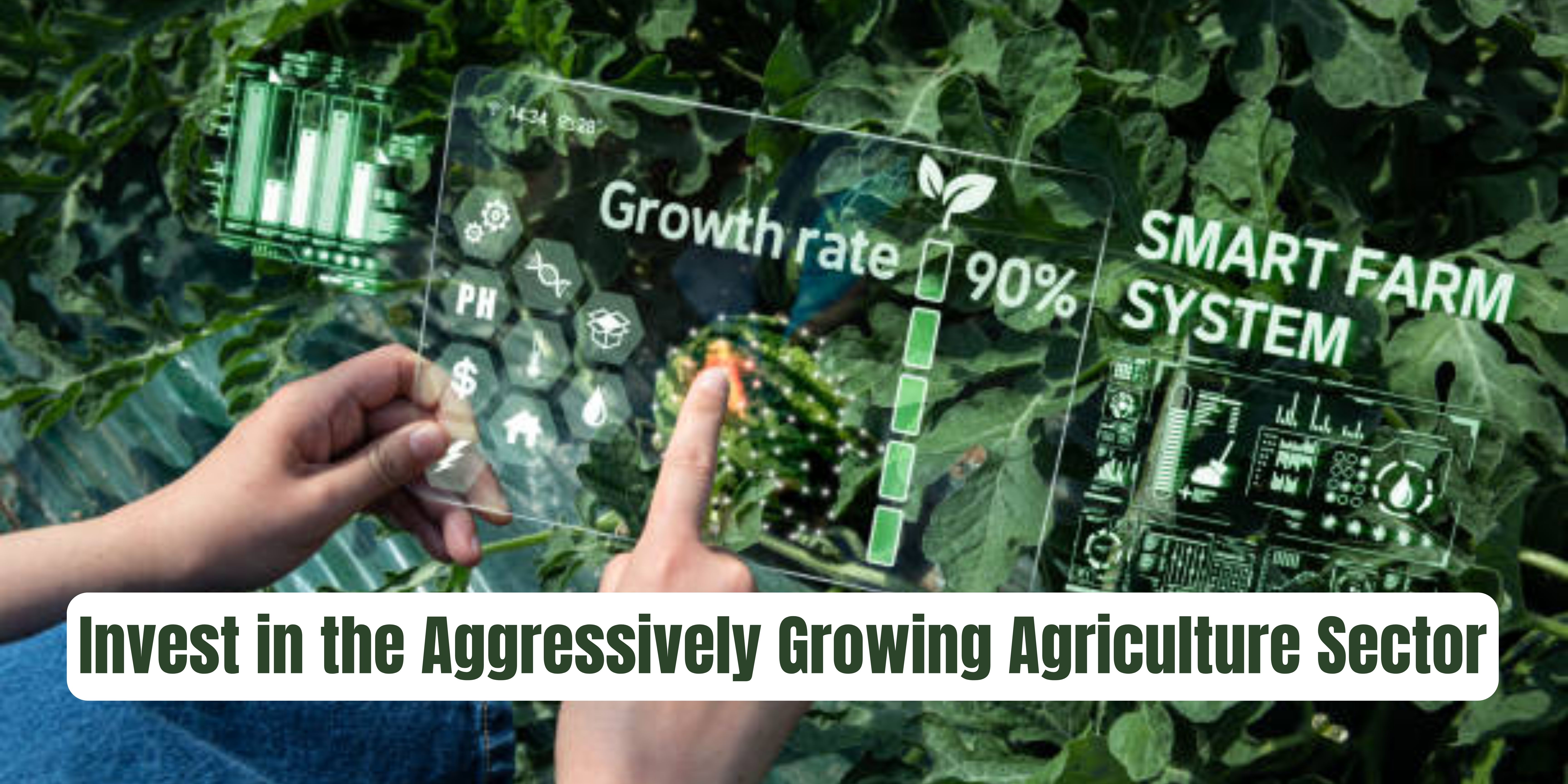 Invest in the Aggressively Growing Agriculture Sector