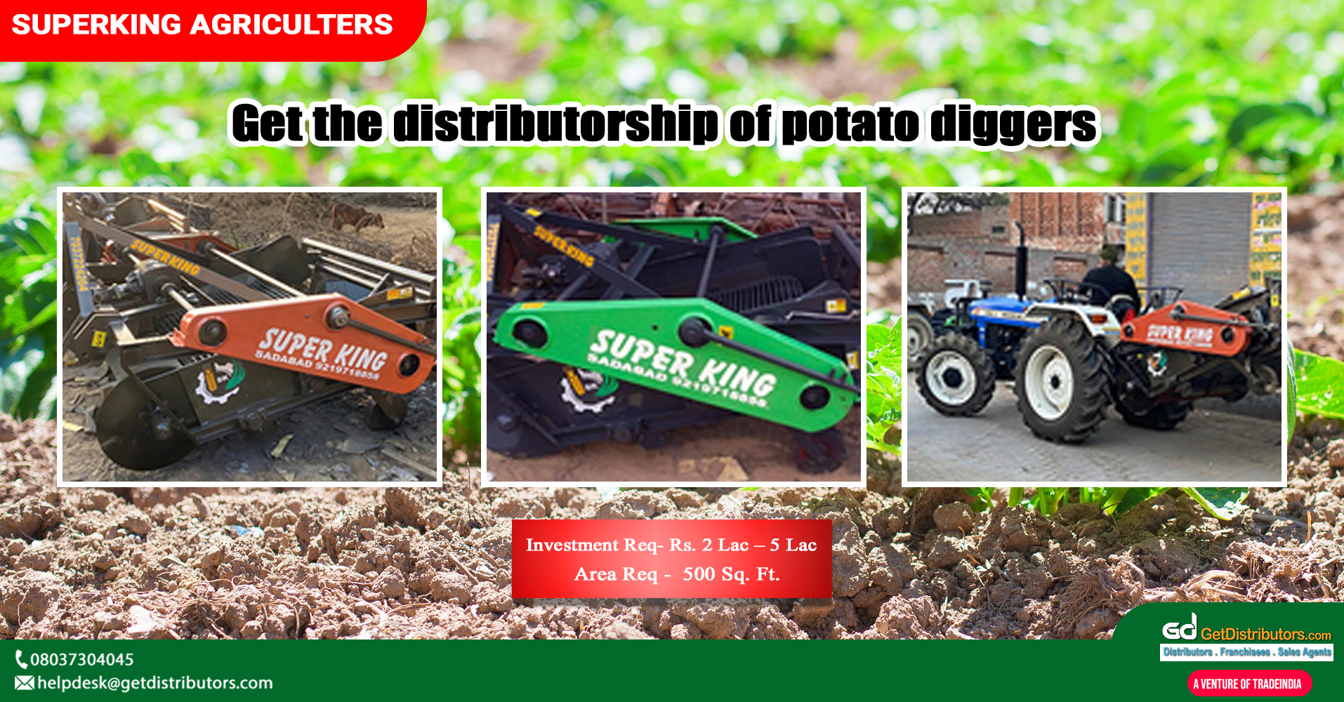 High-grade potato diggers for distribution