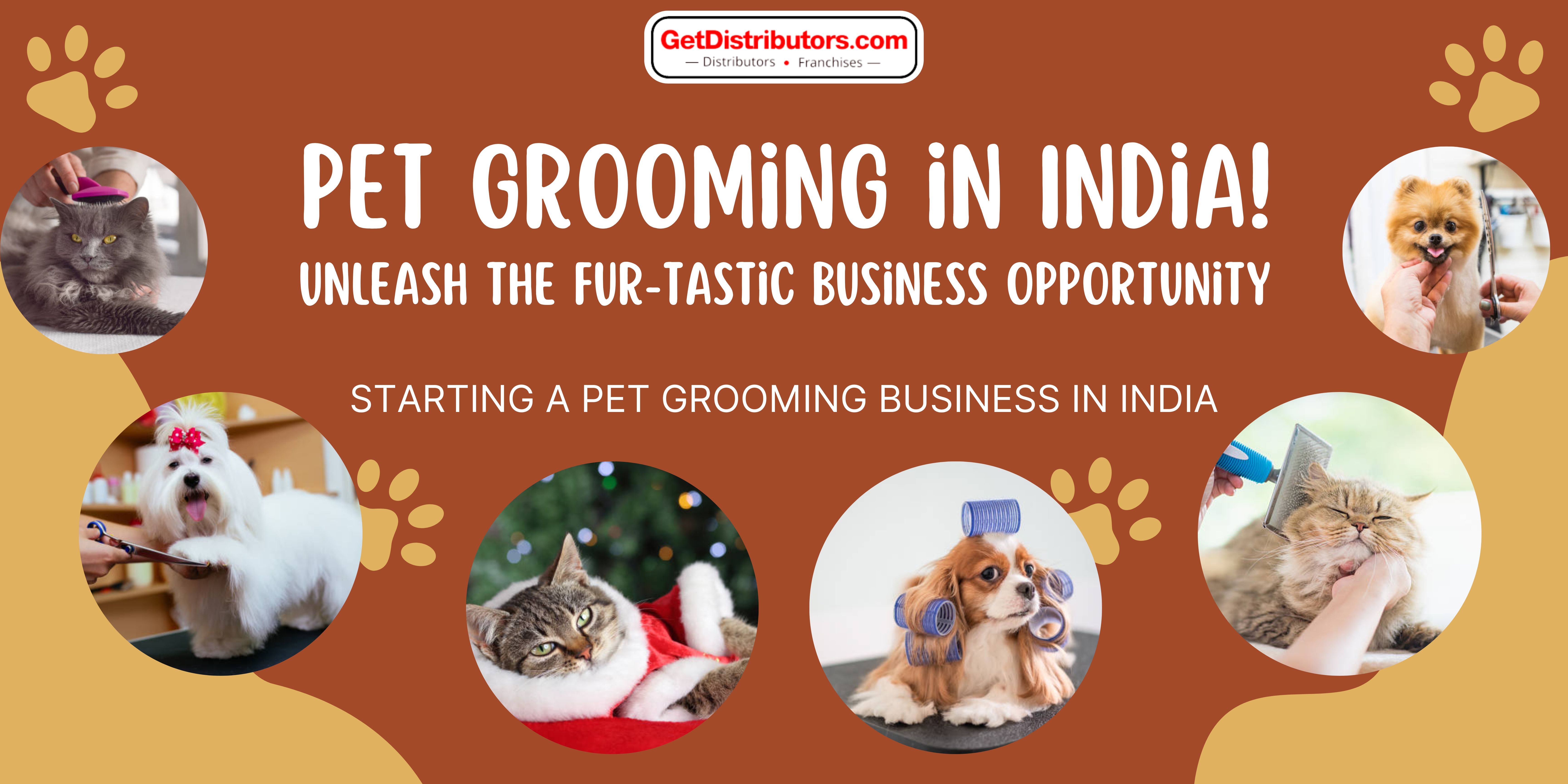 Pet Grooming in India!: Unleash the Fur-tastic Business Opportunity
