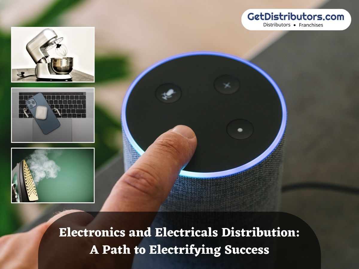 Electronics and Electricals Distribution: A Path to Electrifying Success